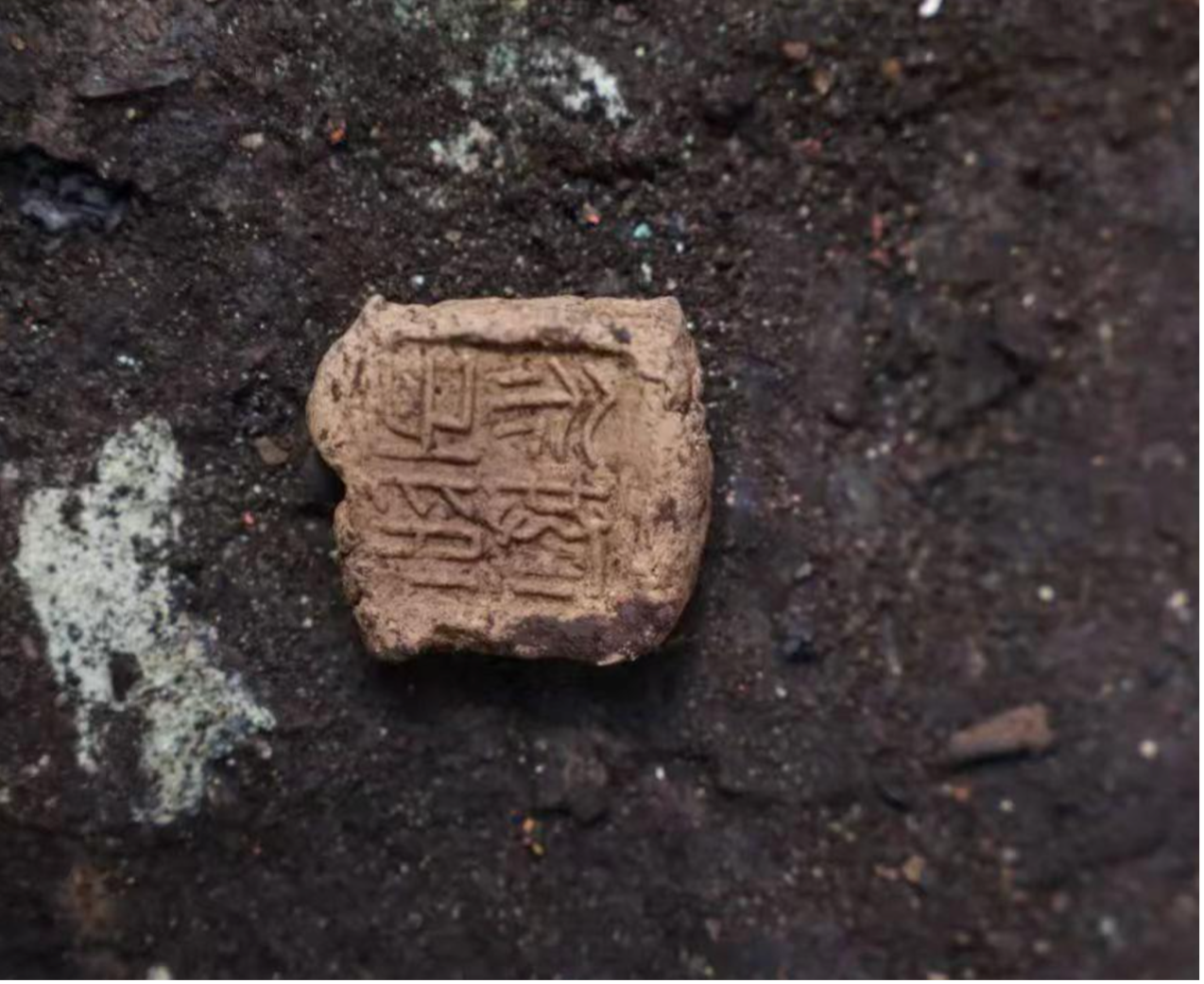 漢文帝覇陵の埋葬墓で初の発掘