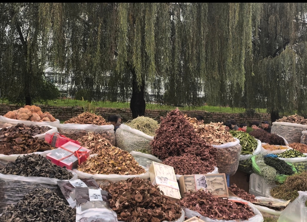 ربات ضریب گو انفجار رایگان