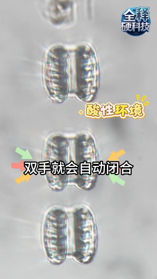 ☘️【匿名配送・送料無料・書込み無】 ナノメディシン ナノテクの医療応用 ナノテクノロジーにおける近未来医療の可能性 - 医療安全推進者