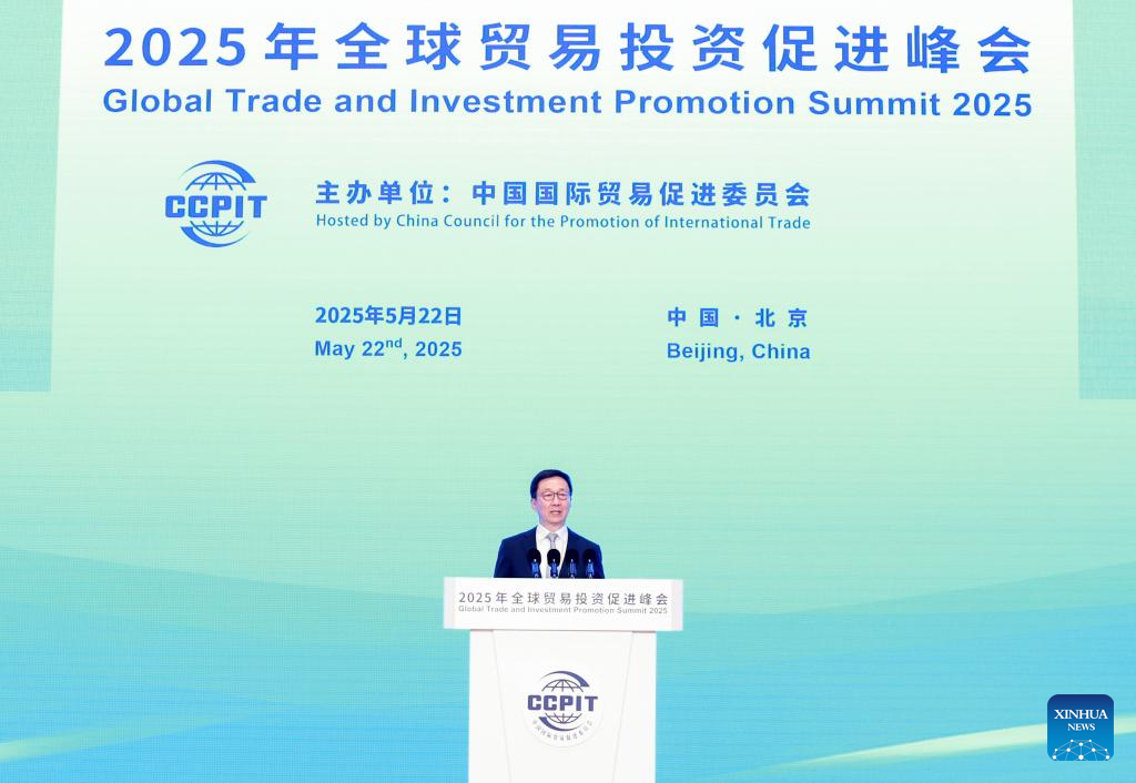中国副大統領は、世界貿易の促進と投資の再設計を求めています