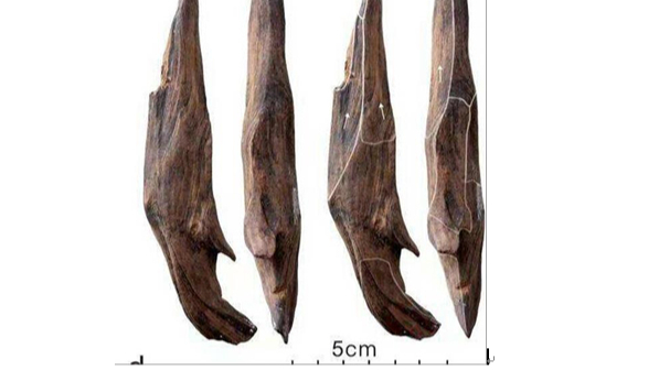世界的な考古学的成果 中国で30万年前の東アジア最古の木器を発見