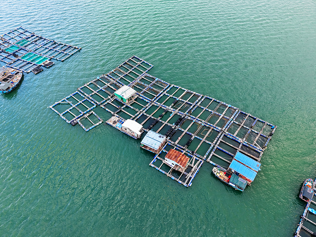 Revista  Qiushi  do të publikojë artikullin e rëndësishëm nga Xi Jinping u  Promovimi i zhvillimit me cilësi të lartë të ekonomisë detare 