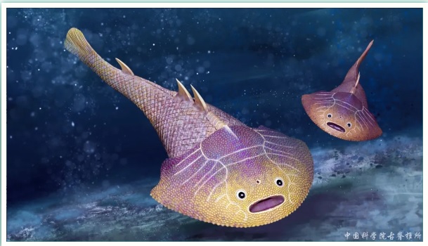 中国で4億3800万年前の新種の魚類化石が発見