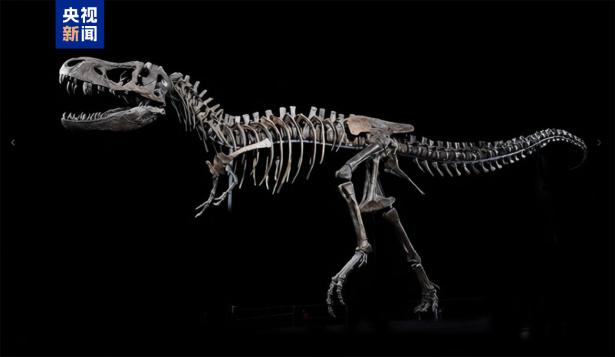 国家自然博物館でティラノサウルス特別展が開幕