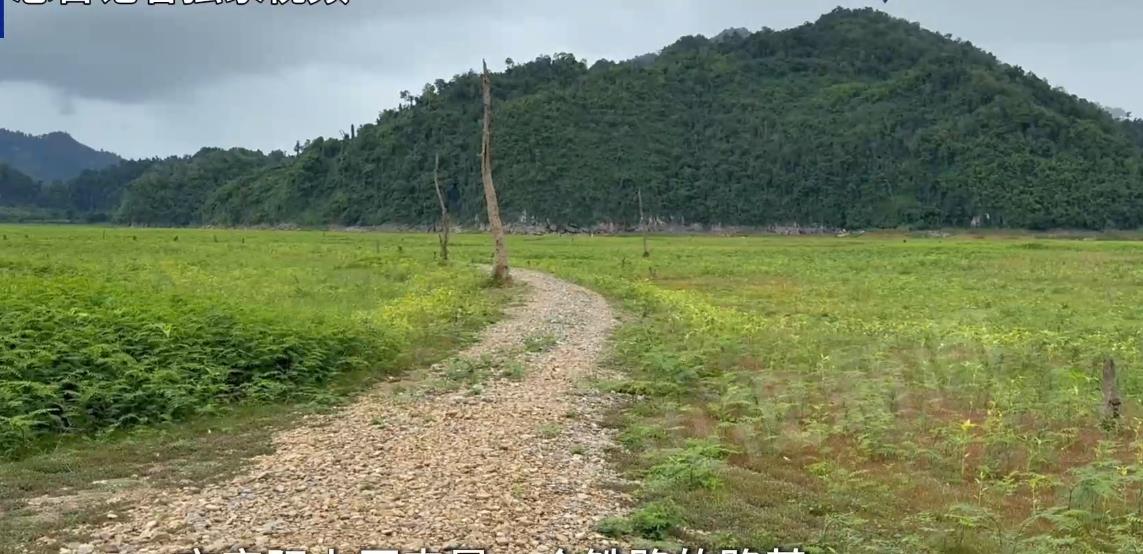 第二次大戦中に旧日本軍が建設した泰緬「死の鉄道」の遺構 姿を現す